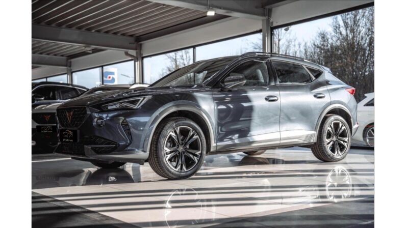 
								Cupra Formentor 2.0 Tdi 4 Drive DSG full									