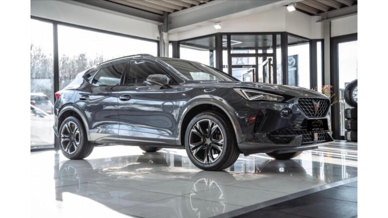 
								Cupra Formentor 2.0 Tdi 4 Drive DSG full									